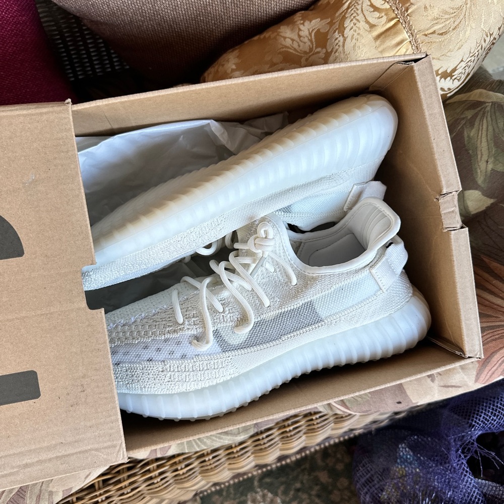 adidas Yeezy Boost 350 in BONE